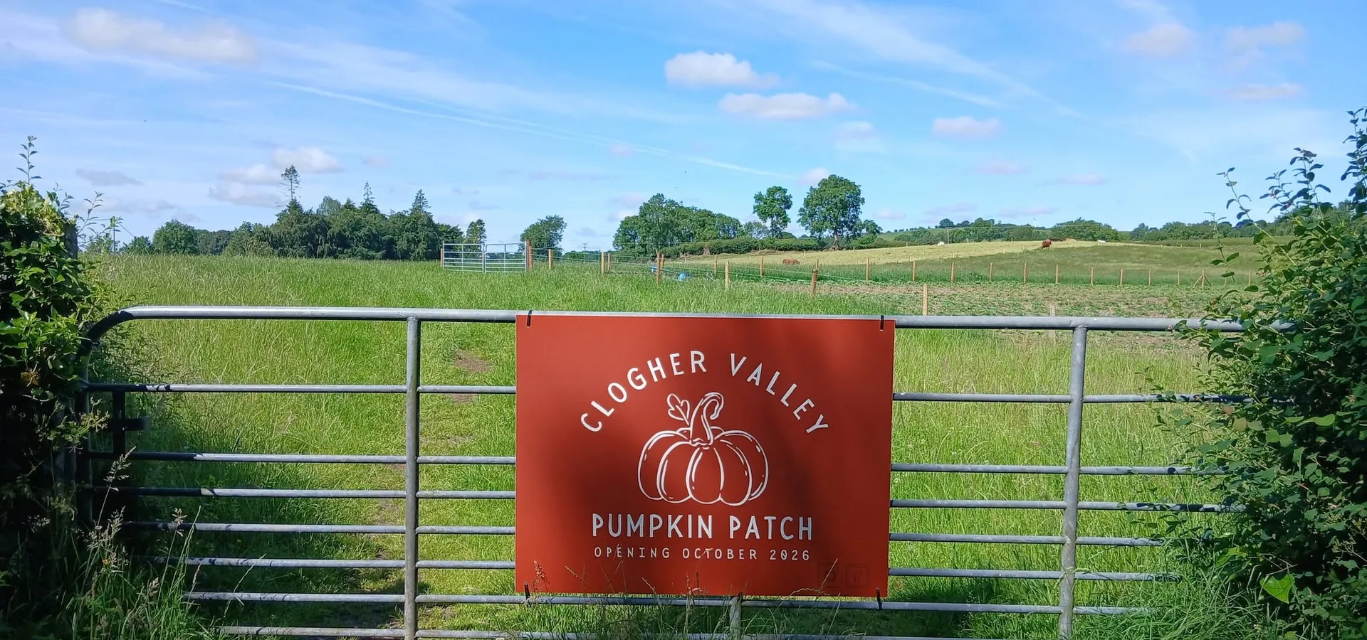 Clogher Valley Pumpkin Patch printed sign fixed to a farm gate in front of open fields.