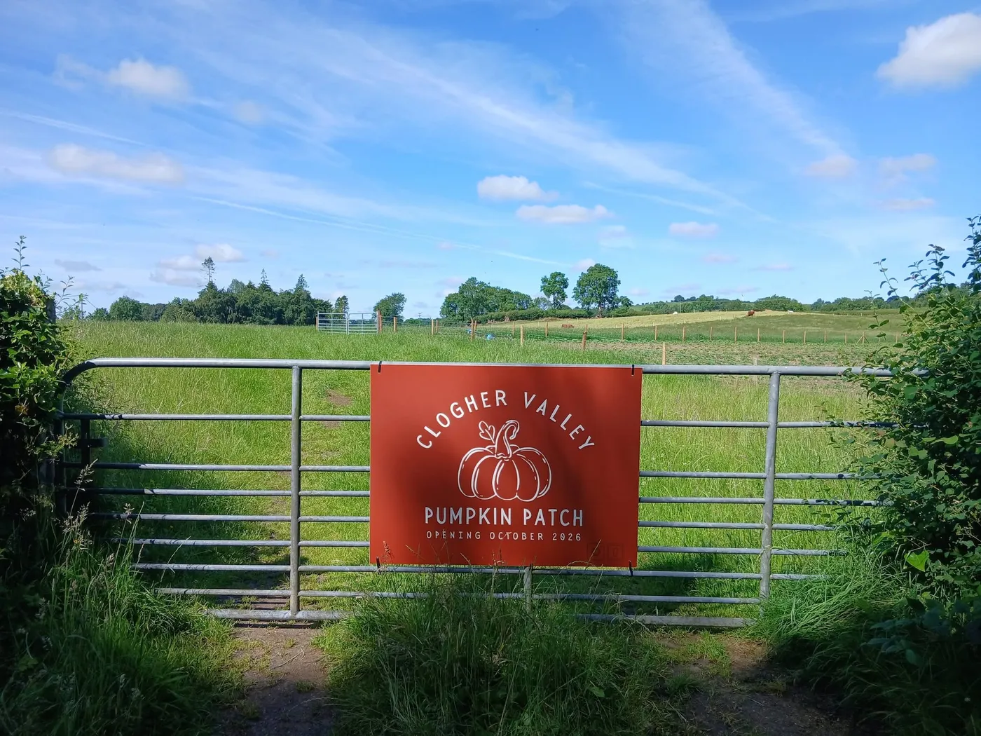Clogher Valley Pumpkin Patch printed sign fixed to a farm gate in front of open fields.